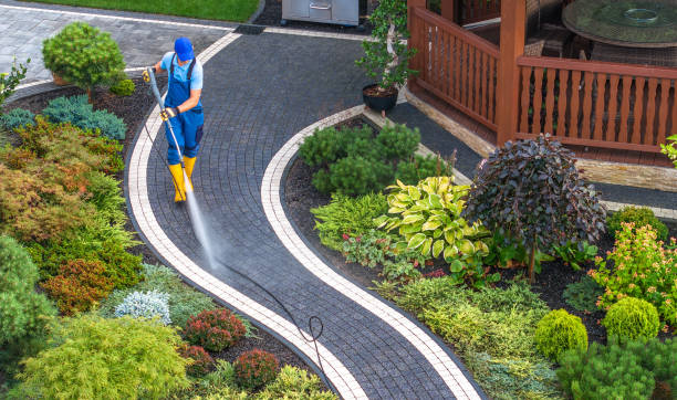 Best Local Pressure Washing Services  in Los Alamos, CA